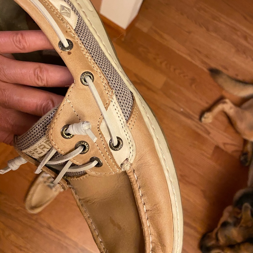 Loafers Sperry